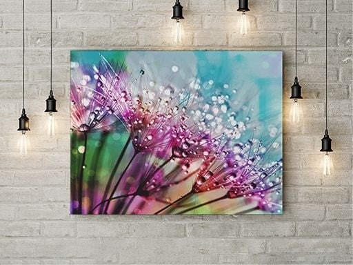 Tablou Canvas Picaturi De Roua
