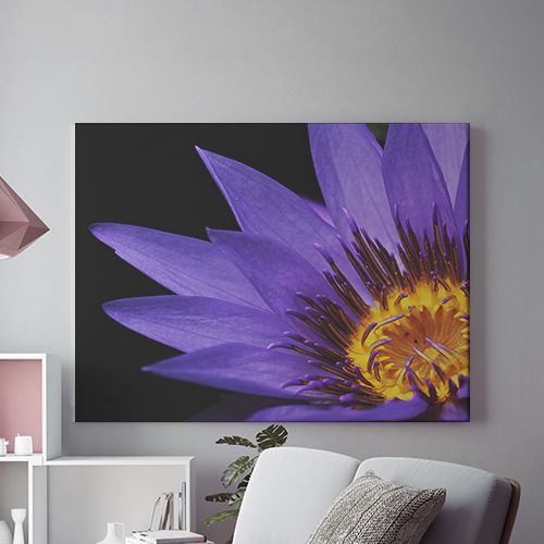 Tablou Canvas Purple Flower