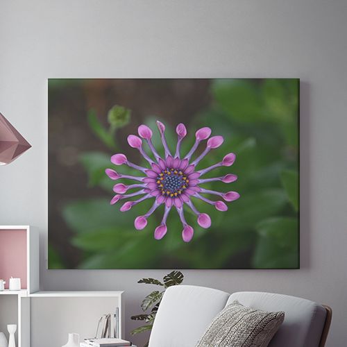 Tablou Canvas Purple Star