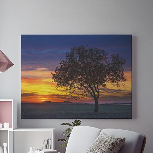 Tablou Canvas Savana