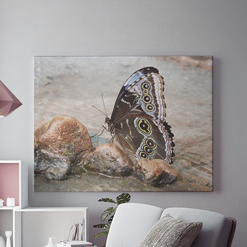 Tablou Canvas On The Wings Of A Butterfly