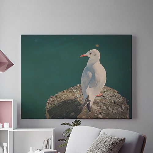 Tablou Canvas Pescarus Singuratic
