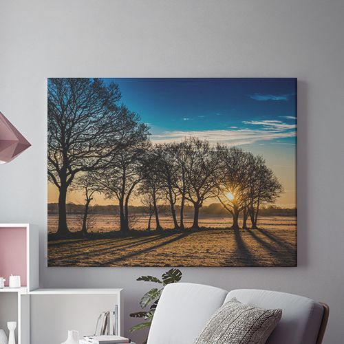 Tablou Canvas Prima Bruma