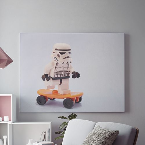 Tablou Canvas Skating Trooper