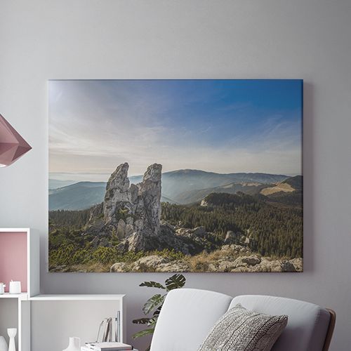 Tablou Canvas Stanca Singuratica