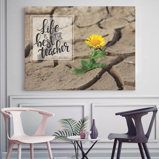 Tablou Motivational - Life Is The Best Teacher