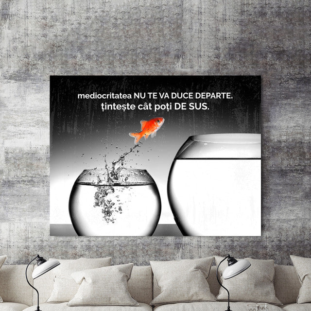 Tablou Motivational - Mediocritatea Nu Te Va Duce Departe