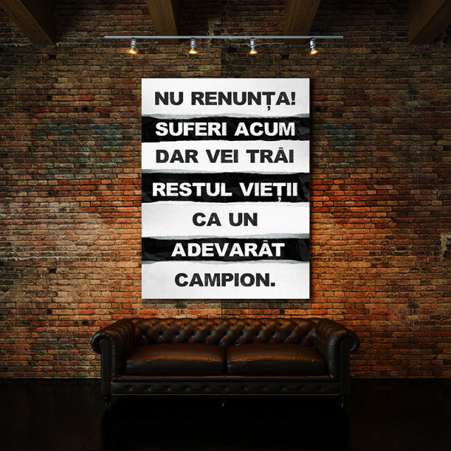 Tablou Motivational - Nu Renunta Acum